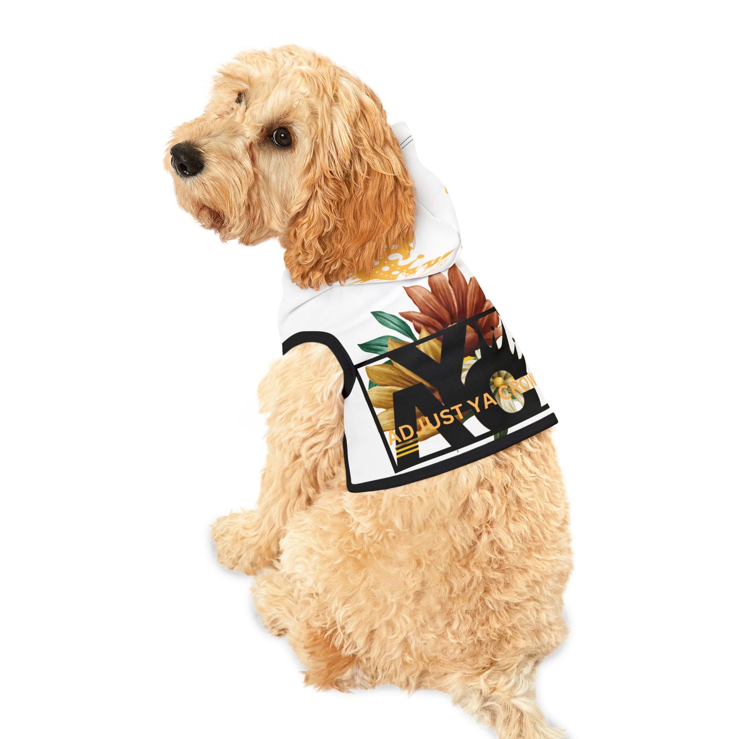 AYC Pet Hoodie