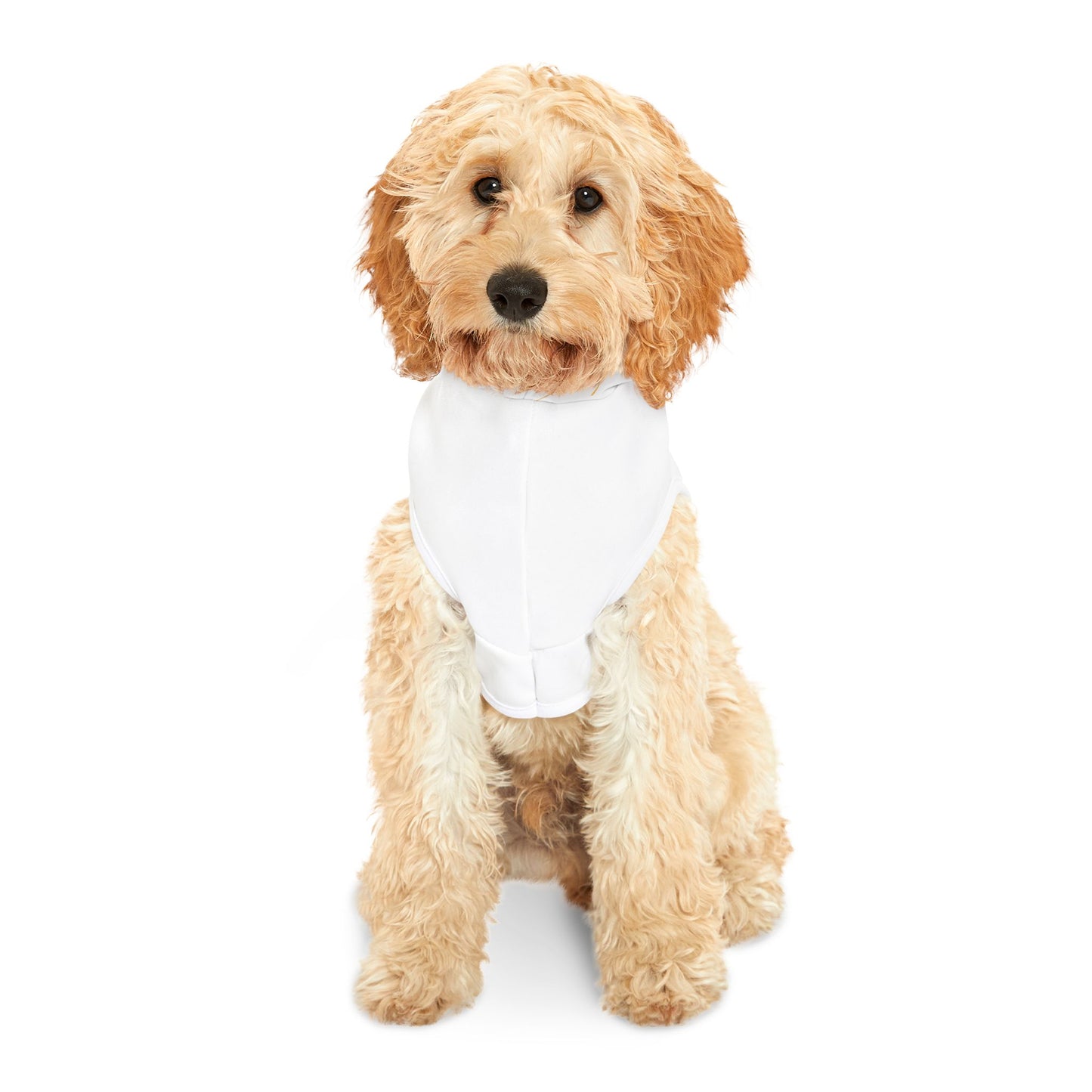 AYC Pet Hoodie