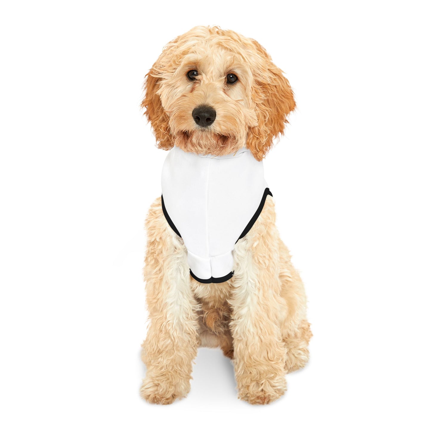 AYC Pet Hoodie